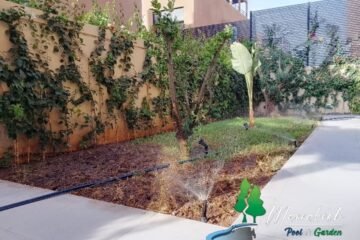 Benchad Mohamed Rida