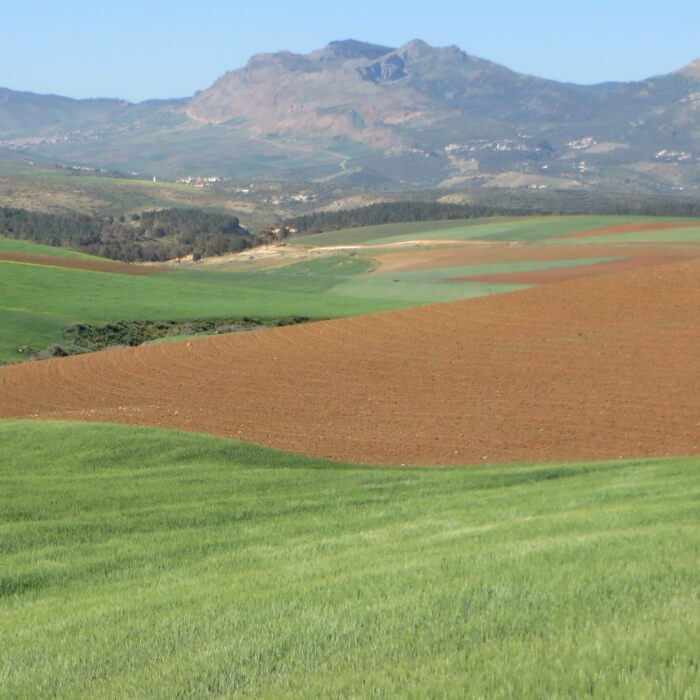 Relief varié et zones agricoles étendues (1) (1)